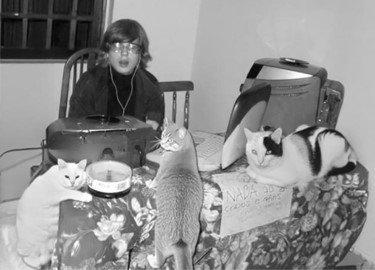 LEON GURFEIN: LEON Y  LAS GATAS EMBARAZADAS