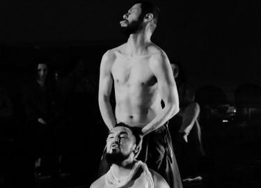 NÚCLEO CÉLULA: ABSURDUO