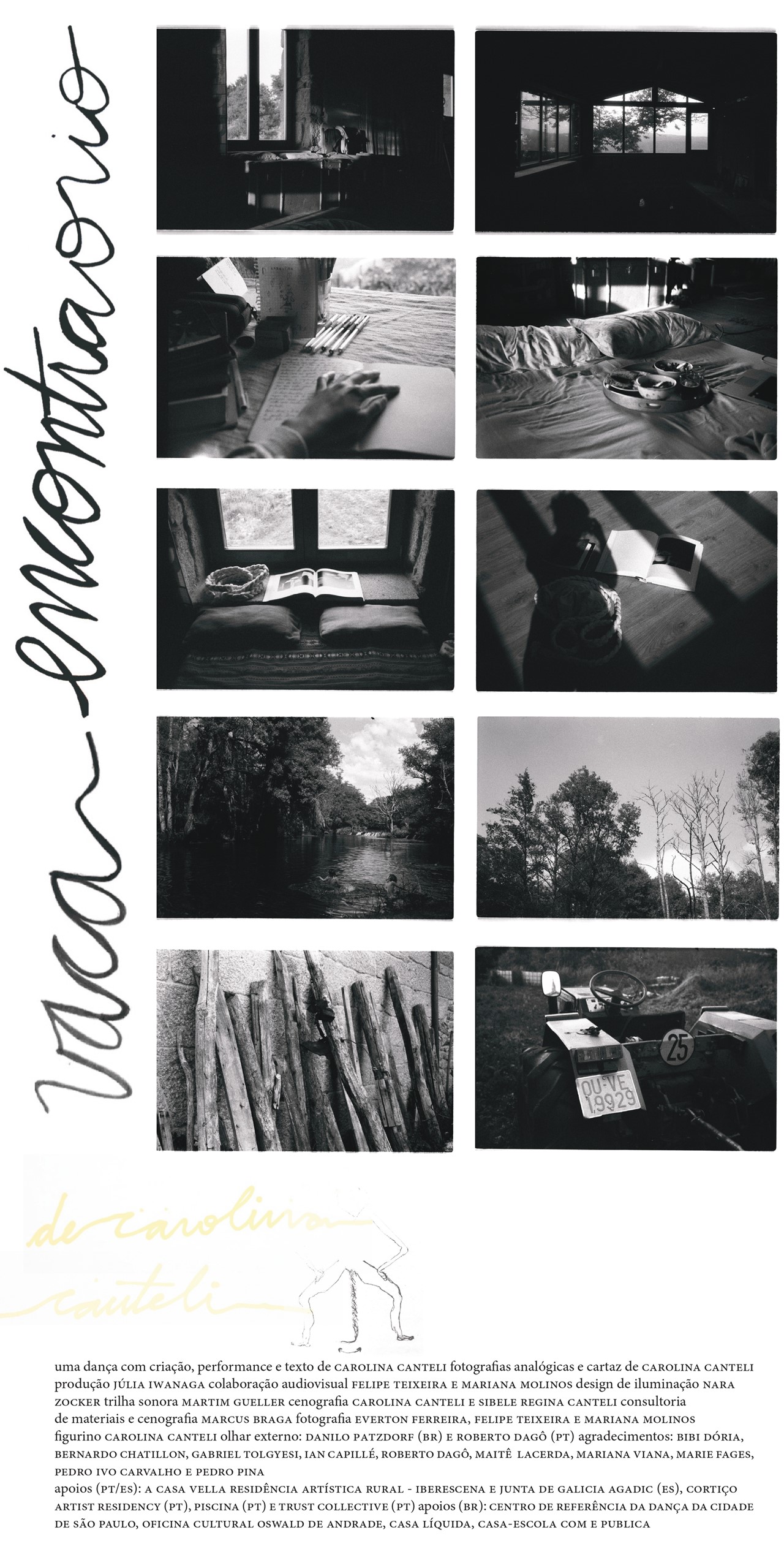 CAROLINA CANTELI: VACA ENCONTRA O RIO